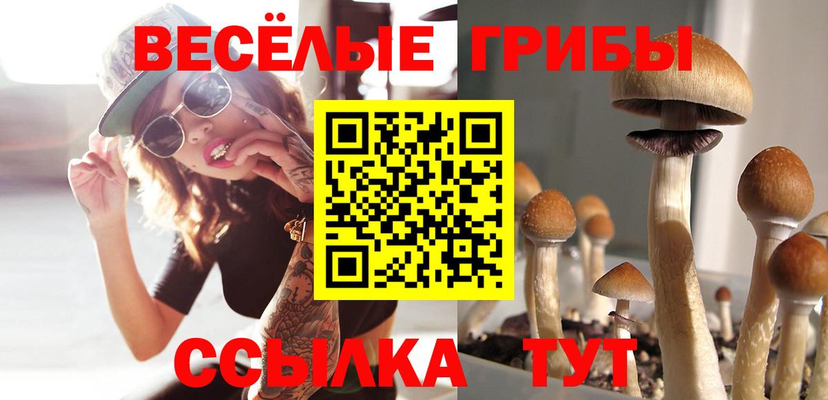 Ефремов  Галлюциногенные грибы Psilocybe  Вход с VPN  Псилоцибиновые грибы мицелий 